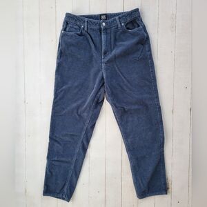 BDG Urban Outfitters Mom High Rise Corduroy Pants Dark Blue Wide Wale Size 32